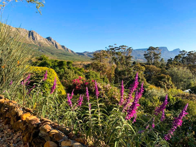Christine Muller Coatesafrika