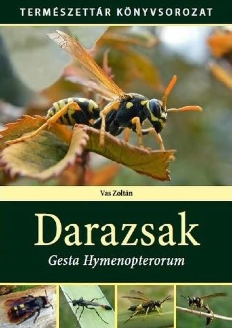 covers_599313
