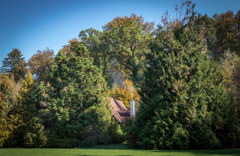 csacsbozsoki_arboretum_osz (2)