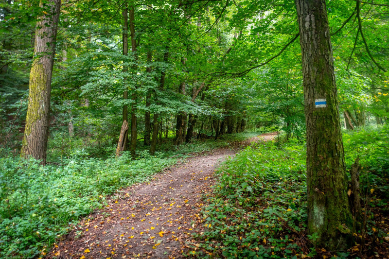 Csehbánya közelében