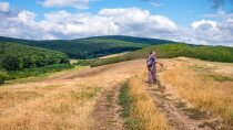 Cserháti csatangolás erdőn-mezőn