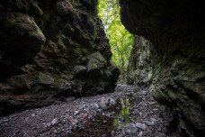 Csillaghullás és daruhangok – különleges hétvégi élmények a természetben