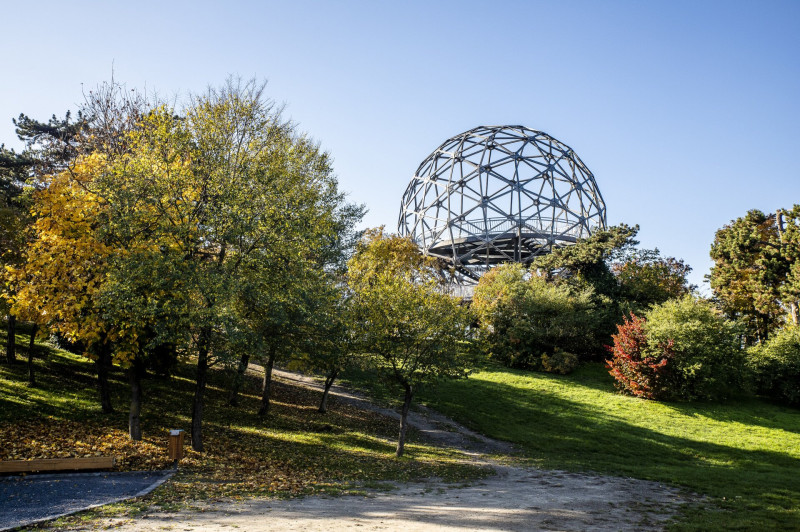 CSM_20201106_2328