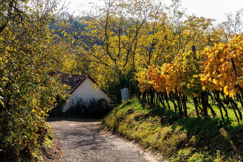 Csobánci vár összel