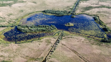 Csodaszép videó készült a Kolon-tó élővilágáról