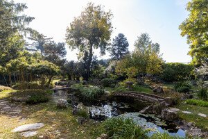 Csoda Zuglóban – gyönyörű japánkert a város közepén