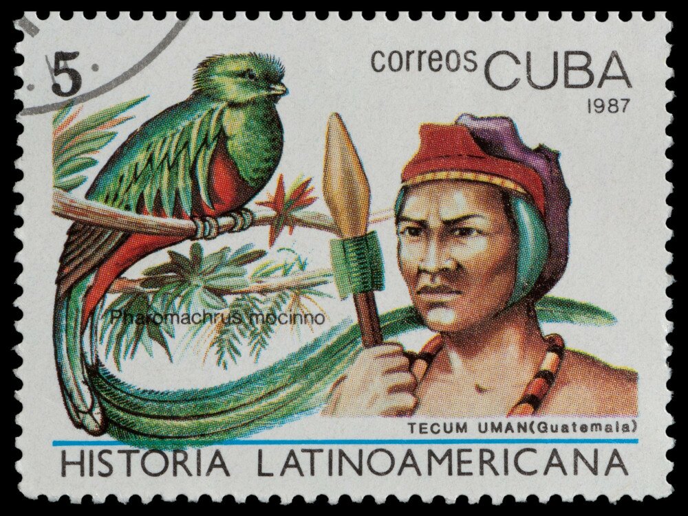 CUBA - CIRCA 1987: The postal stamp printed in CUBA shows tecum uman, (Guatemala) and pharomachrus mocinno, circa 1987
