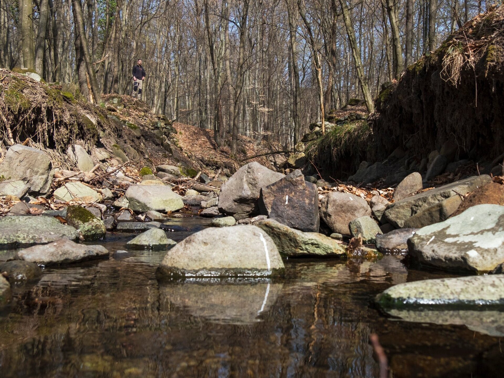 A faúsztatás emlékei a Börzsönyben