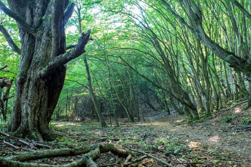 ������������������������������������������������������������������������������������������������������������������������������������������������������������������������������������������������������������������������������������������������������������������������