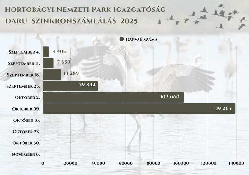 Daruszinkron_2025_10_09