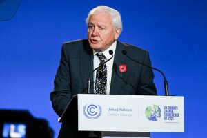 David Attenborough-t a Föld bajnoka címmel tüntette ki az ENSZ 