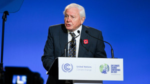 David Attenborough-t a Föld bajnoka címmel tüntette ki az ENSZ 