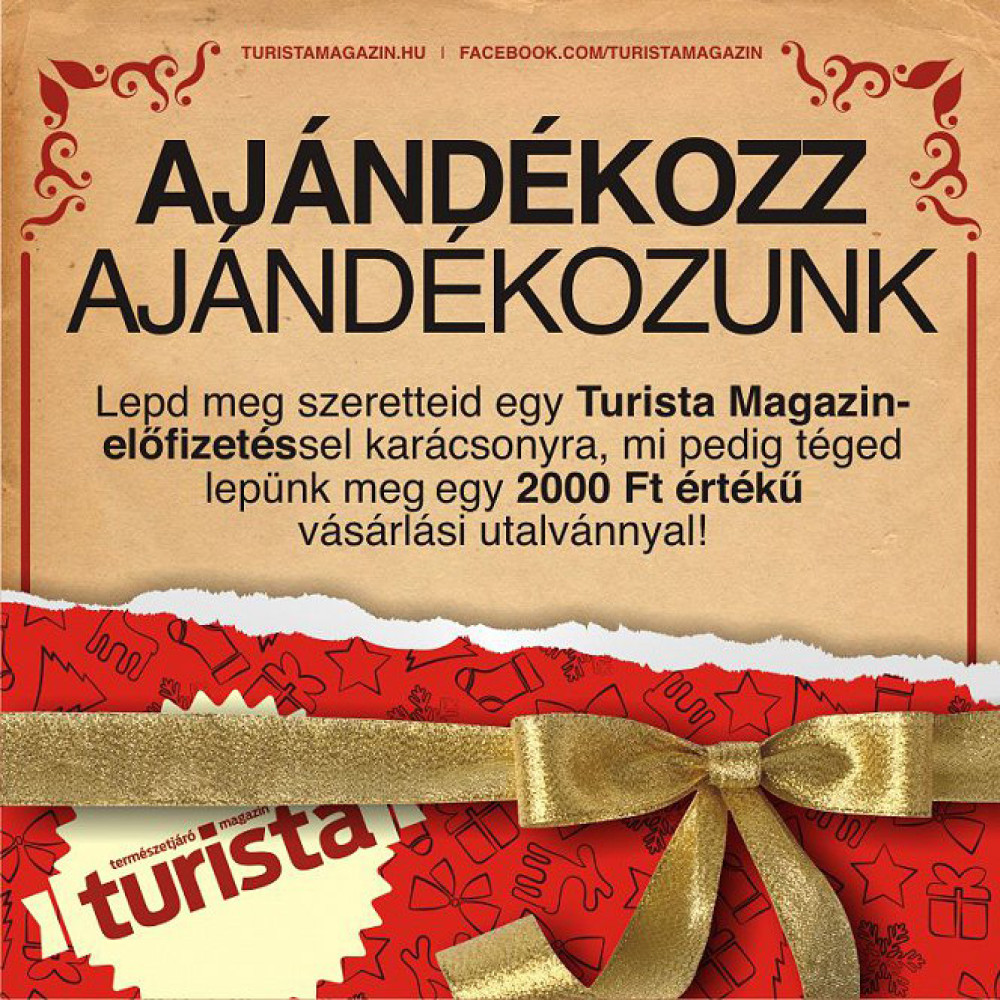 legjobb fajok közötti városok 2015-ig