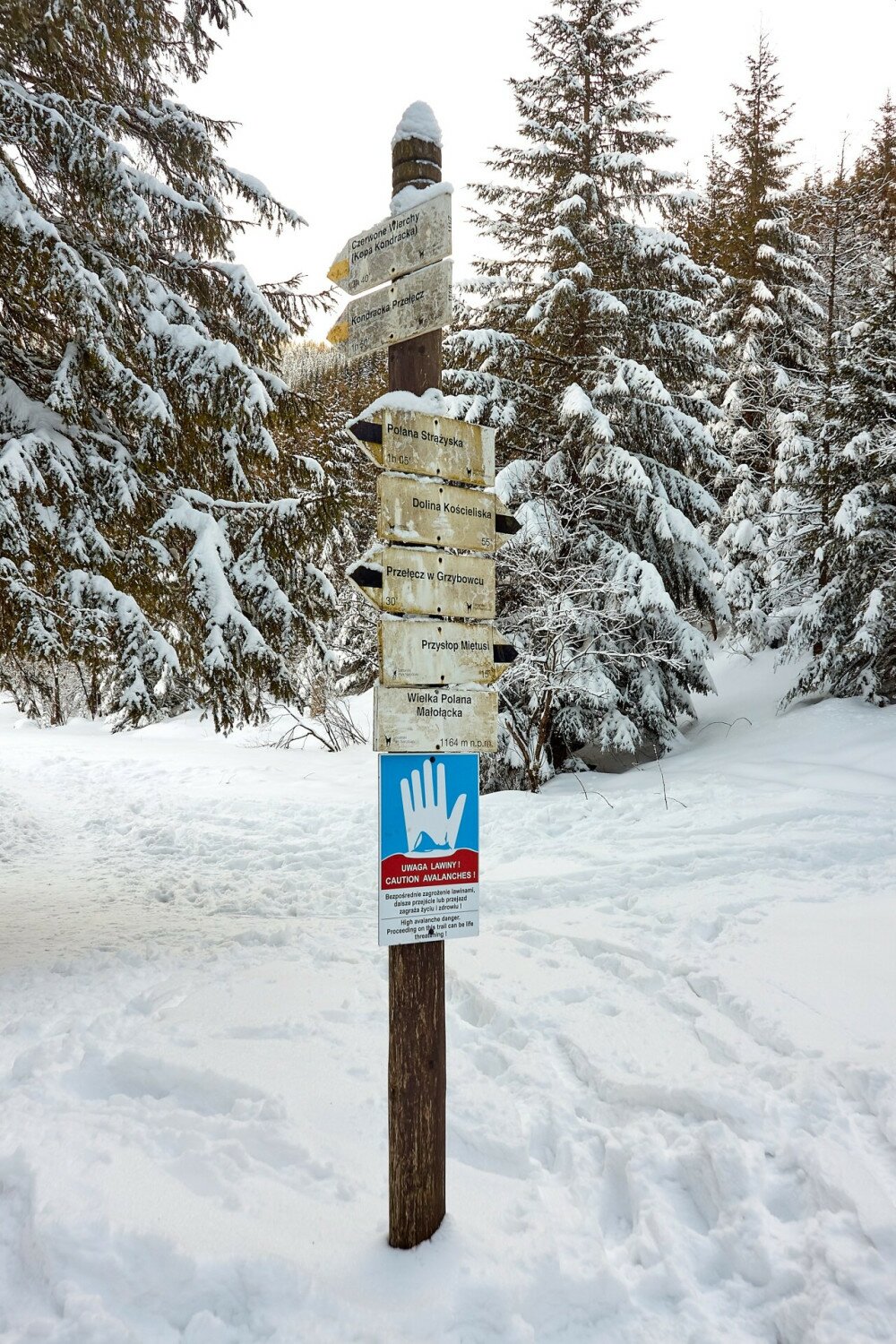 Directional signs for certain trails in Mala Laka Valley (Dolina Malej Laki) nearby Zakopane in Tatra mountains.