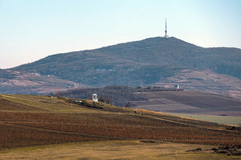 Disznoko Kilato-Szt-Terez-kapolna-Tokaj-hegy