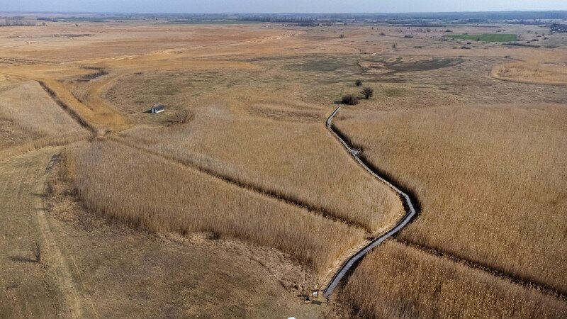 DJI_0111