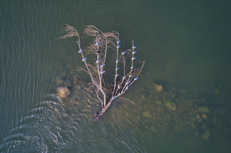 DJI_0154