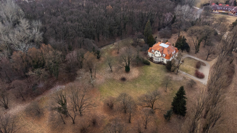 DJI_0244
