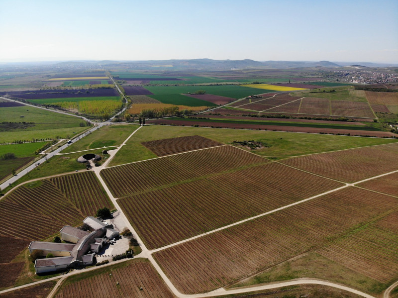 DJI_0299