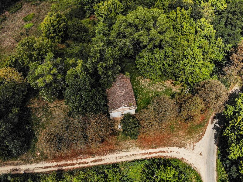 DJI_0320_Sörnyepusztai templomrom_FOTO-SOMO