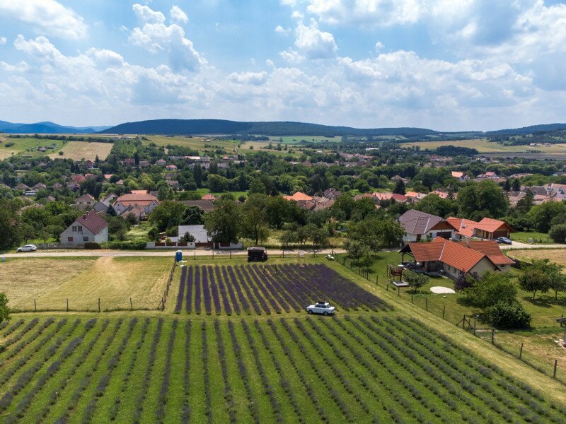 DJI_0538