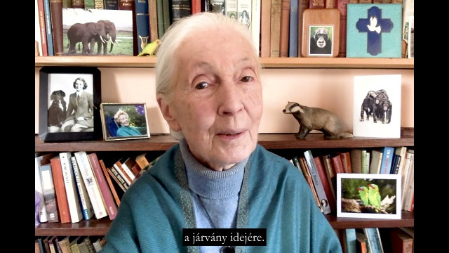 Dr.Jane Goodall Föld napi üzenete 2021