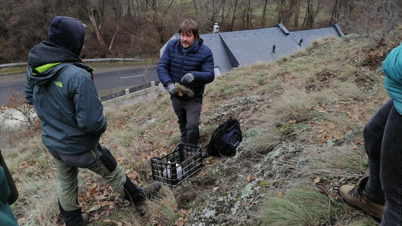 Dr. Kelemen András az Opuntia fajok közötti különbséget mutatja be a Bükki Nemzeti Park Igazgatóság dolgozói számára