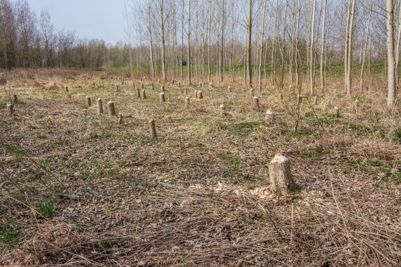 _DSC0007 FOTO Czabán Dávid