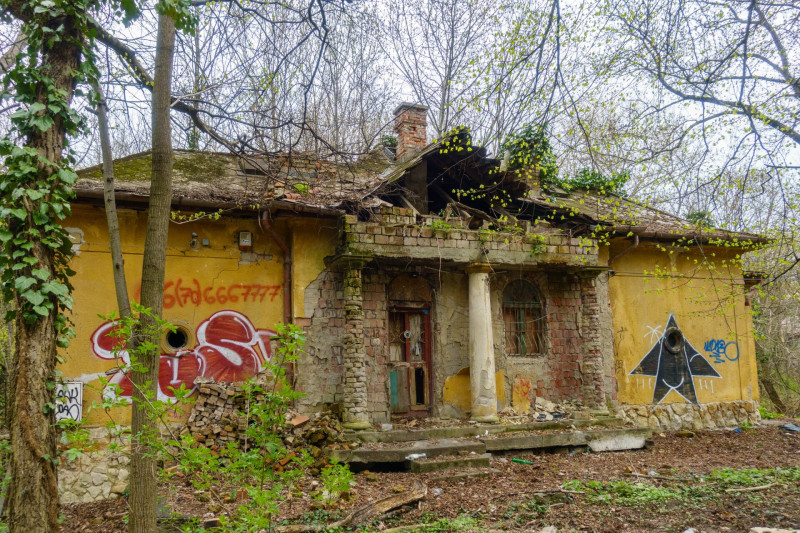 DSC00080