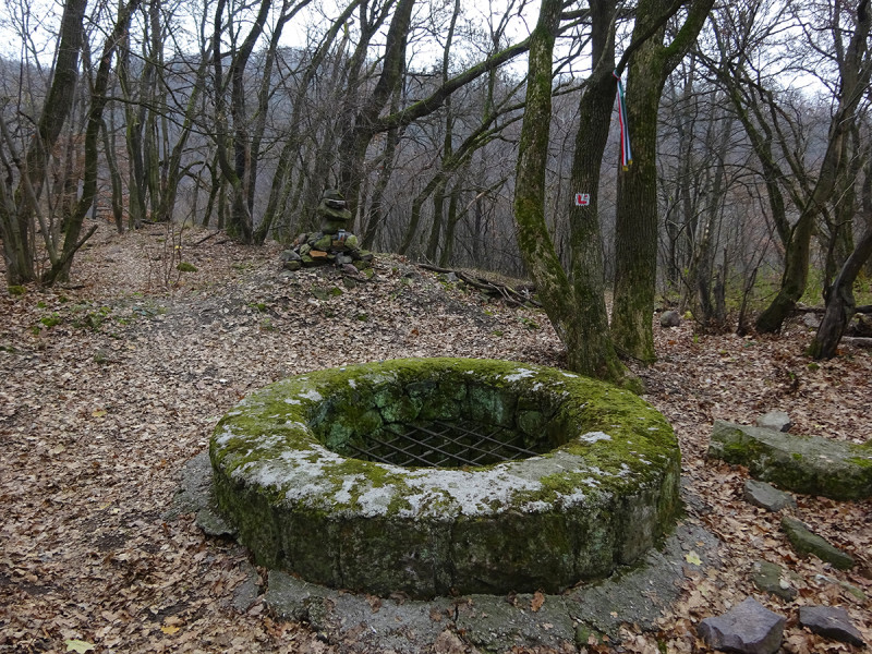 dsc00459.jpg