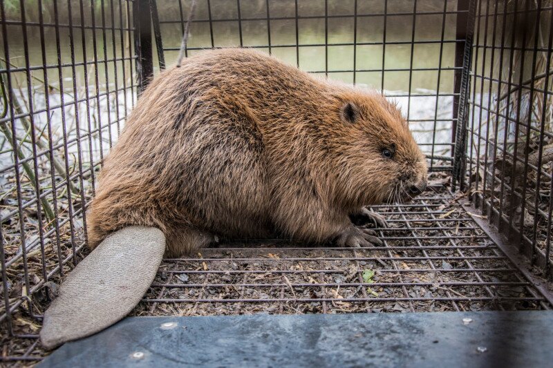 _DSC0108 FOTO Czabán Dávid