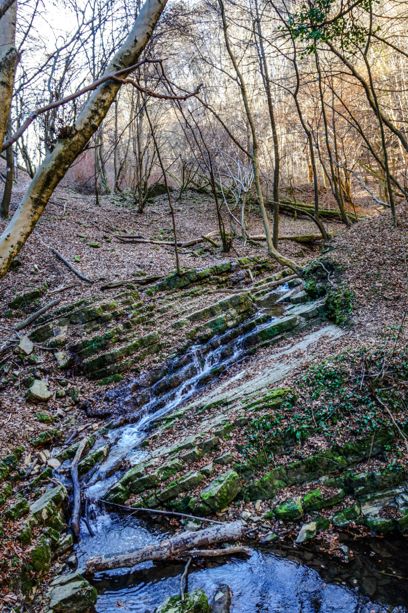 dsc01749_ferde-vizeses(1).jpg