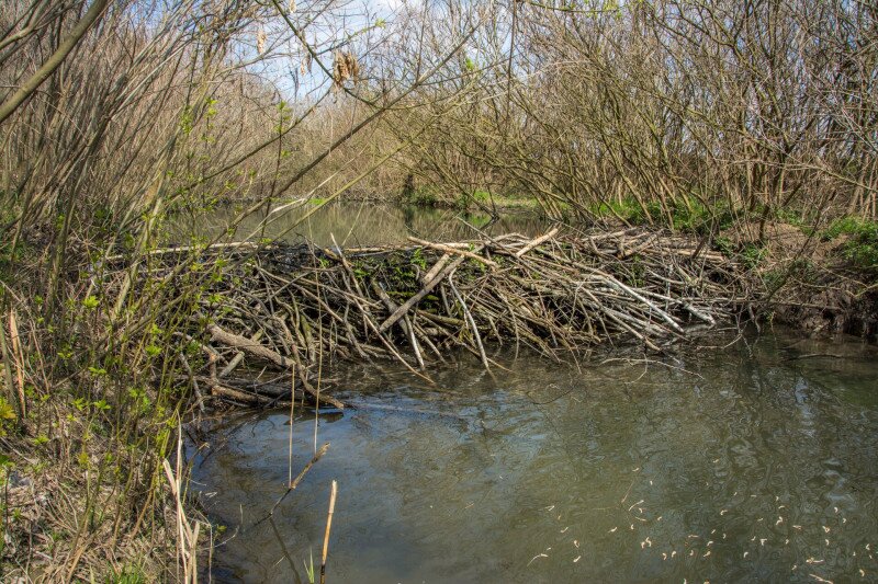 _DSC0200 FOTO Czabán Dávid