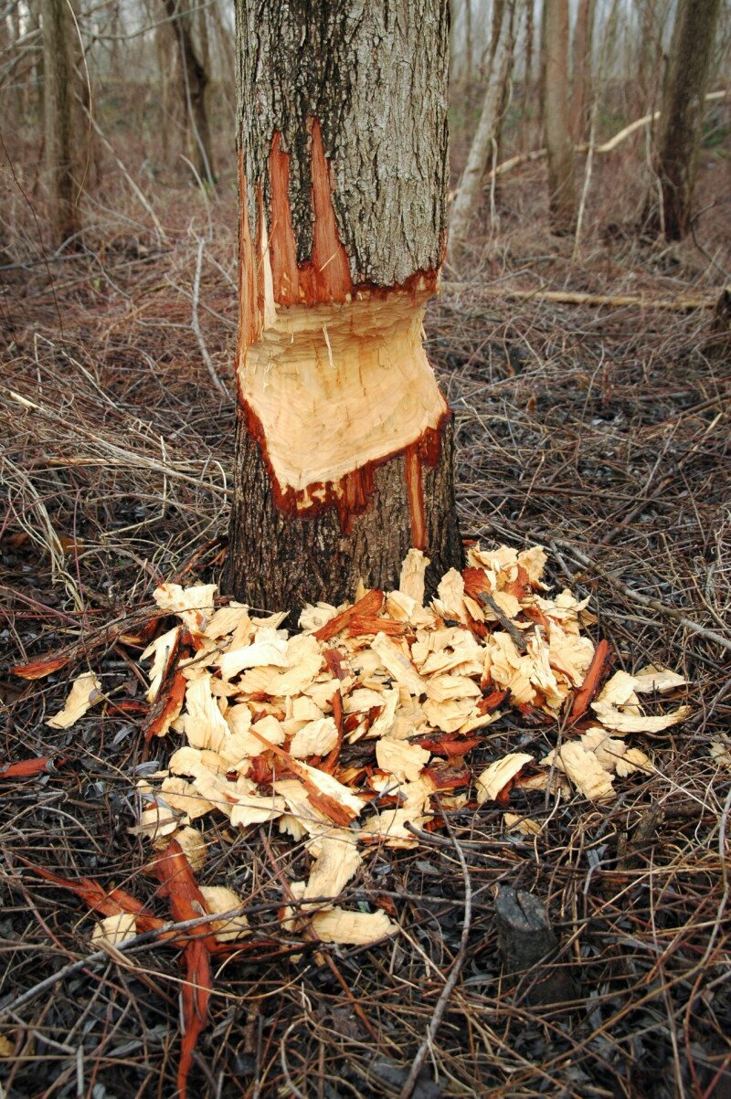 DSC_0221 FOTO Czabán Dávid