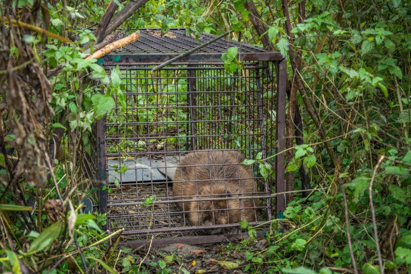 _DSC0315 FOTO Czabán Dávid