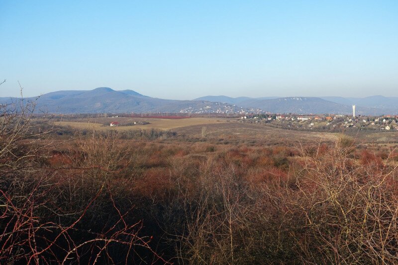 DSC03196