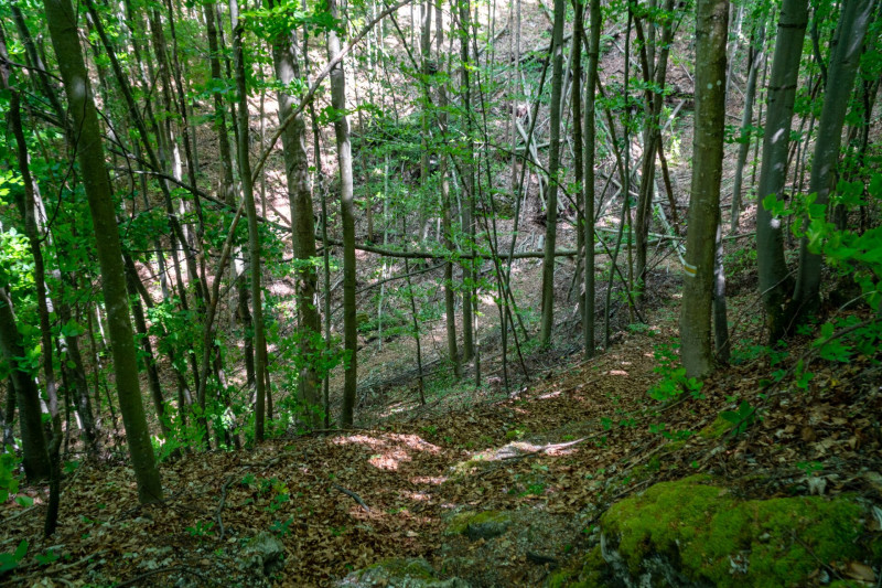 DSC05291