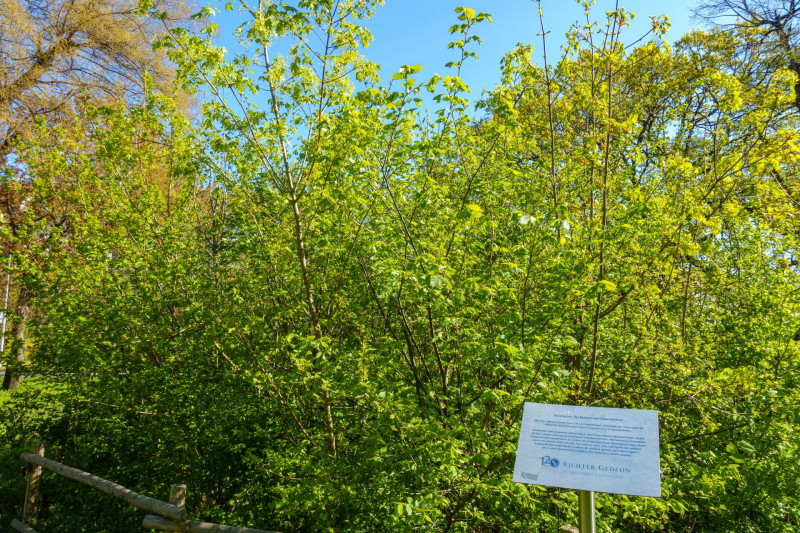 DSC06477