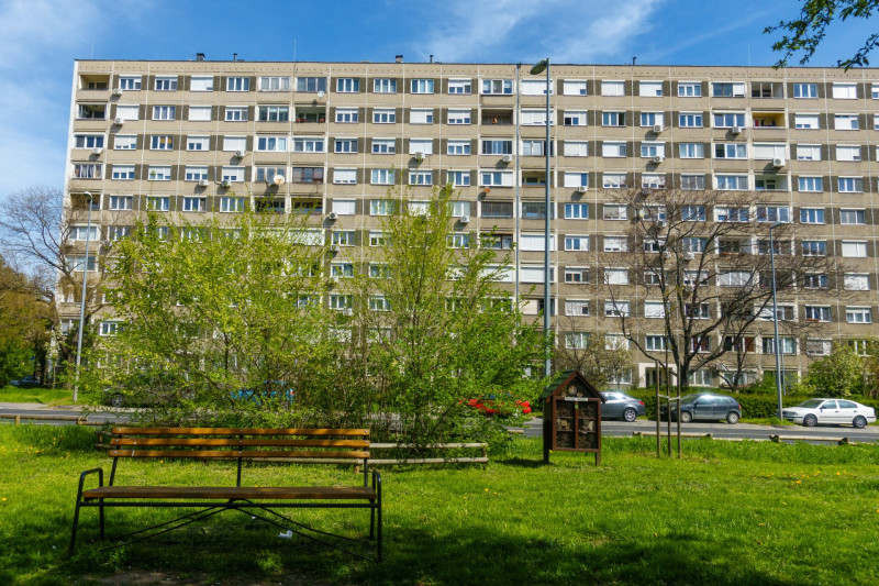 DSC06526