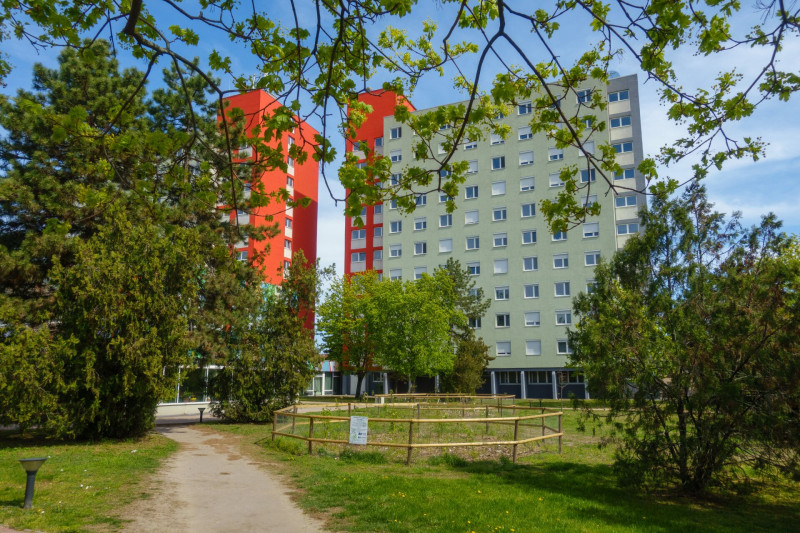 DSC06552