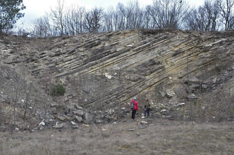 dsc_0782-715e343e-2484645