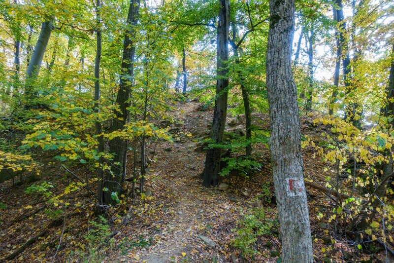 DSC09399_kantavarhoz