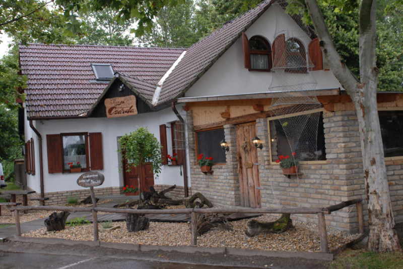 dsc_1120--01.jpg