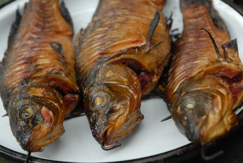 dsc_1317_masolata.jpg