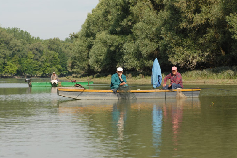 dsc_1502.jpg