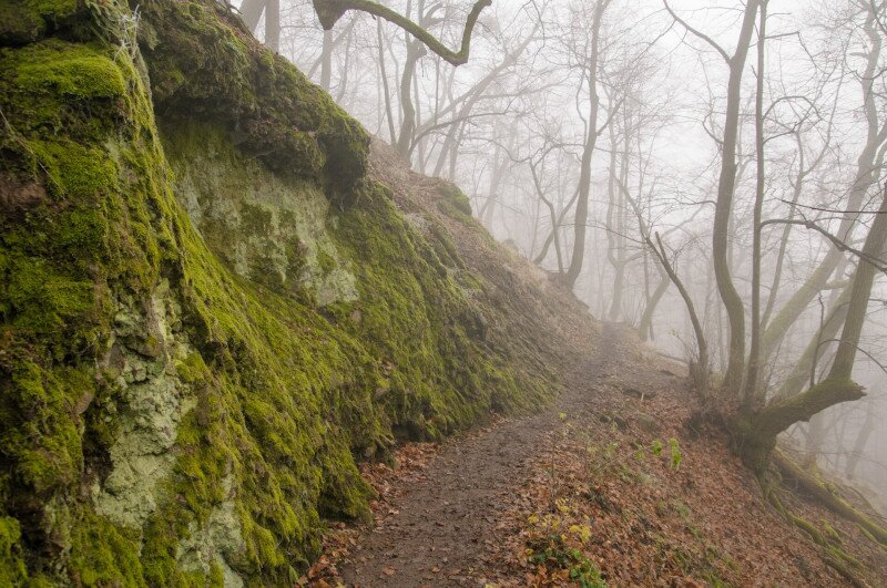 DSC_7614_mohakZuzmok