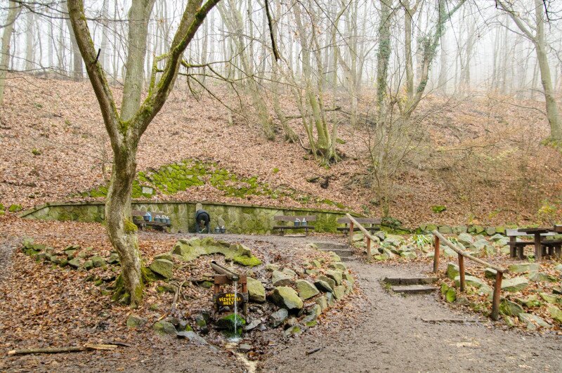 DSC_7721_kaanKarolyForras