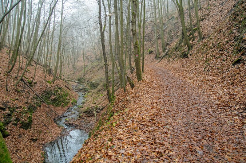 DSC_7735_apatkutiVolgy