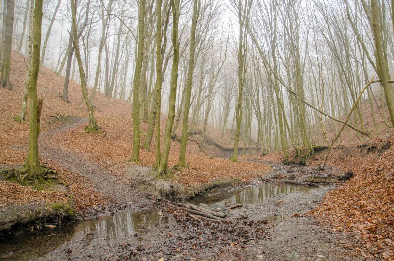 DSC_7800_patakatkeles