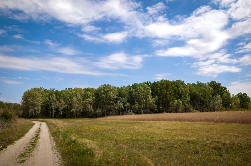 dsc_8172-91f2cee5-237474